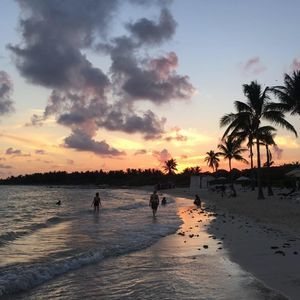 Meet your Posher, Wilfred